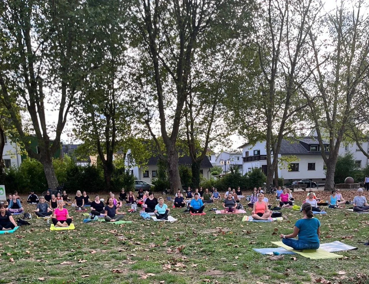 Teilnehmende sitzen bei der zweiten Outdoor Yoga Night auf Yogamatten im Grünen in Hostenbach.