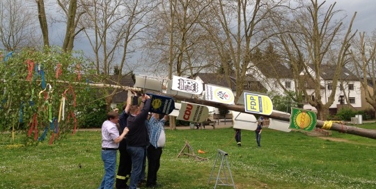 Maibaum 2012 in Hostenbach mit neuem Schild