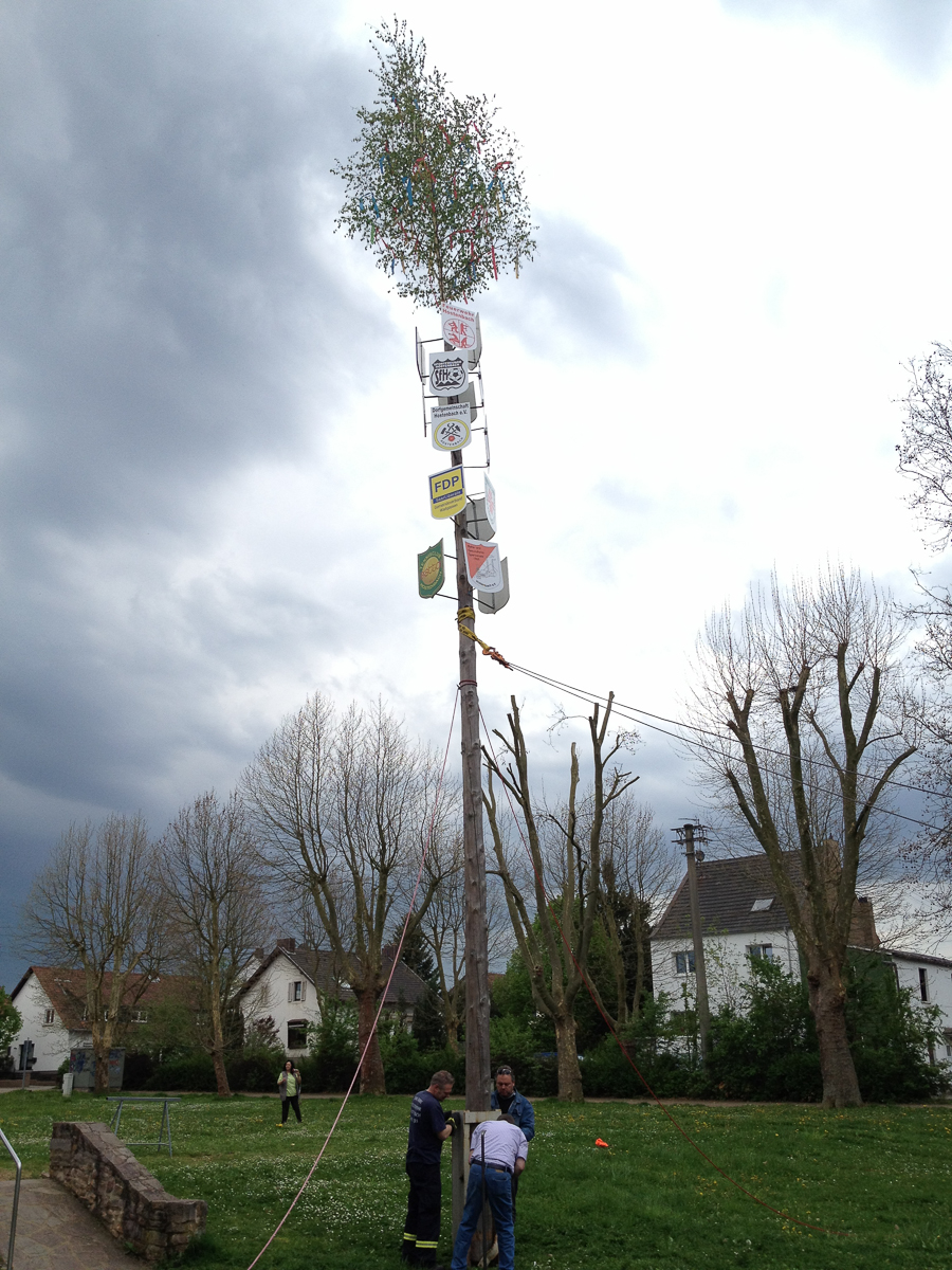 Maibaum 2012 in Hostenbach mit neuem Schild